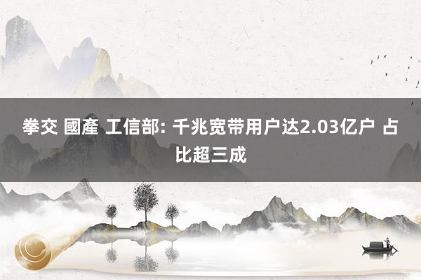 拳交 國產 工信部: 千兆宽带用户达2.03亿户 占比超三成