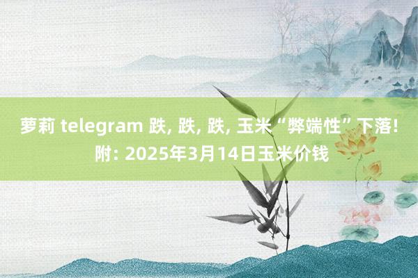 萝莉 telegram 跌， 跌， 跌， 玉米“弊端性”下落! 附: 2025年3月14日玉米价钱