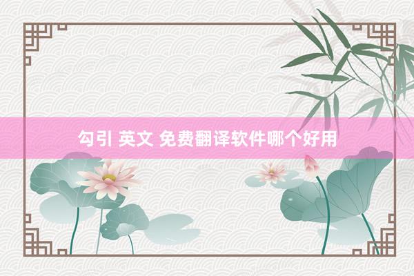 勾引 英文 免费翻译软件哪个好用