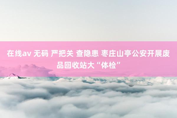 在线av 无码 严把关 查隐患 枣庄山亭公安开展废品回收站大“体检”